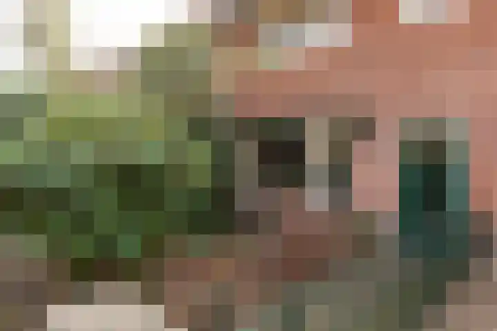 Polluxstraat 23 Hilversum thumbnail 4