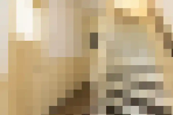 Polluxstraat 23 Hilversum thumbnail 5