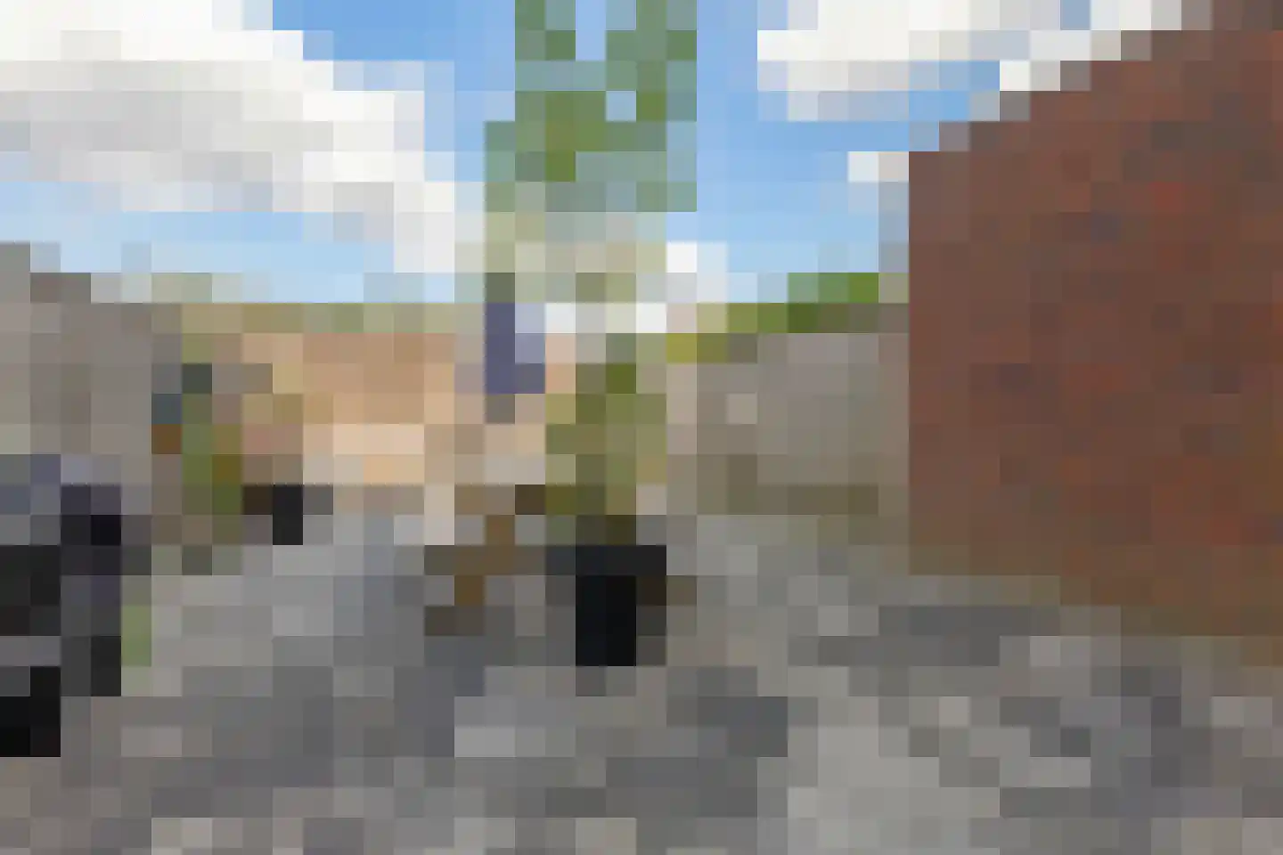 Polluxstraat 250 Arnhem thumbnail 32
