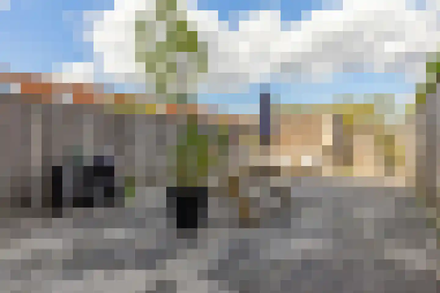 Polluxstraat 250 Arnhem thumbnail 33