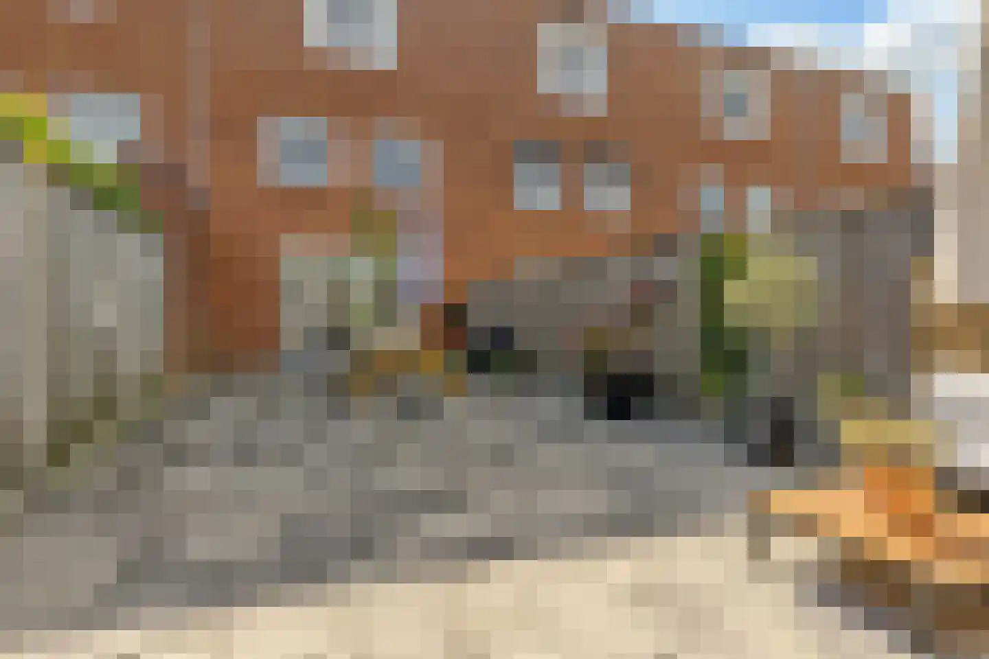 Polluxstraat 250 Arnhem thumbnail 35