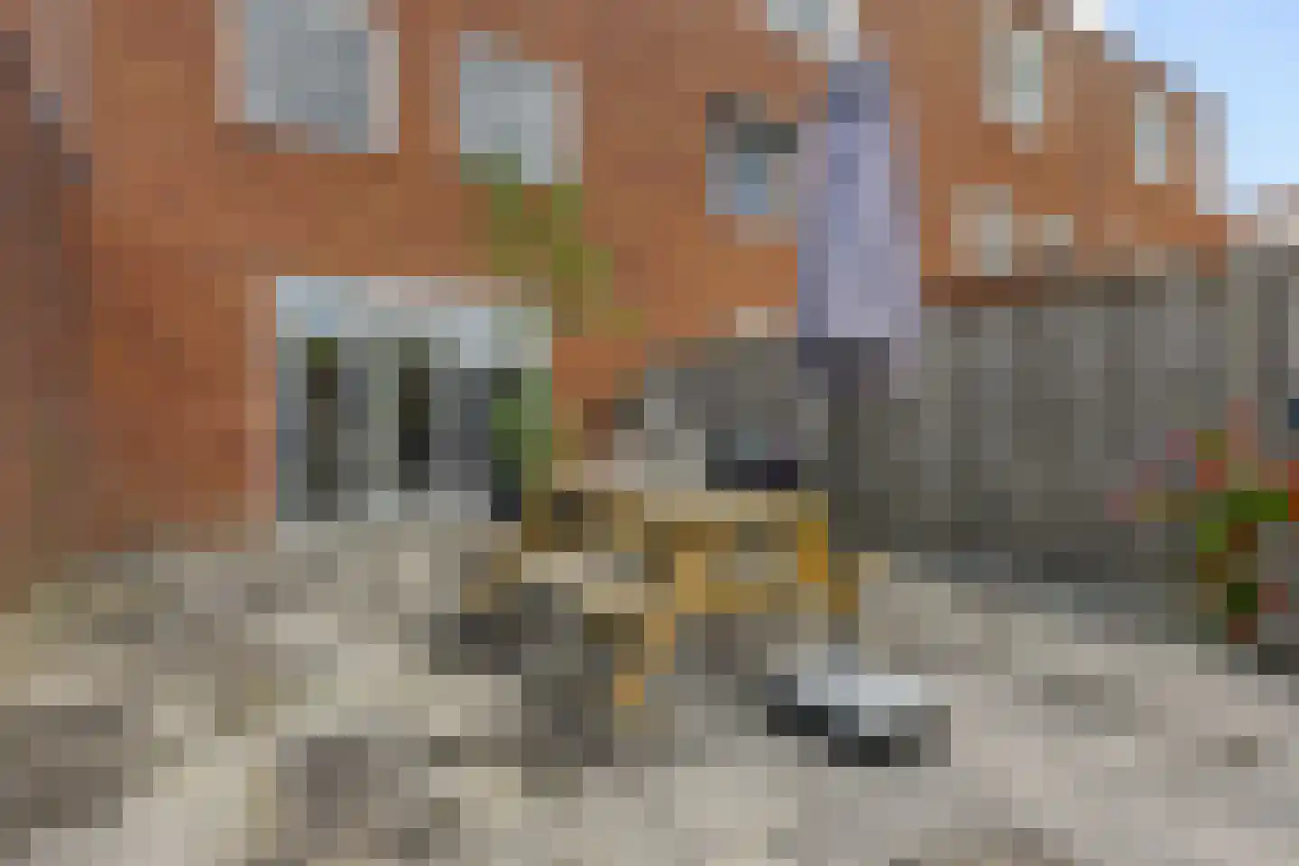 Polluxstraat 250 Arnhem thumbnail 37
