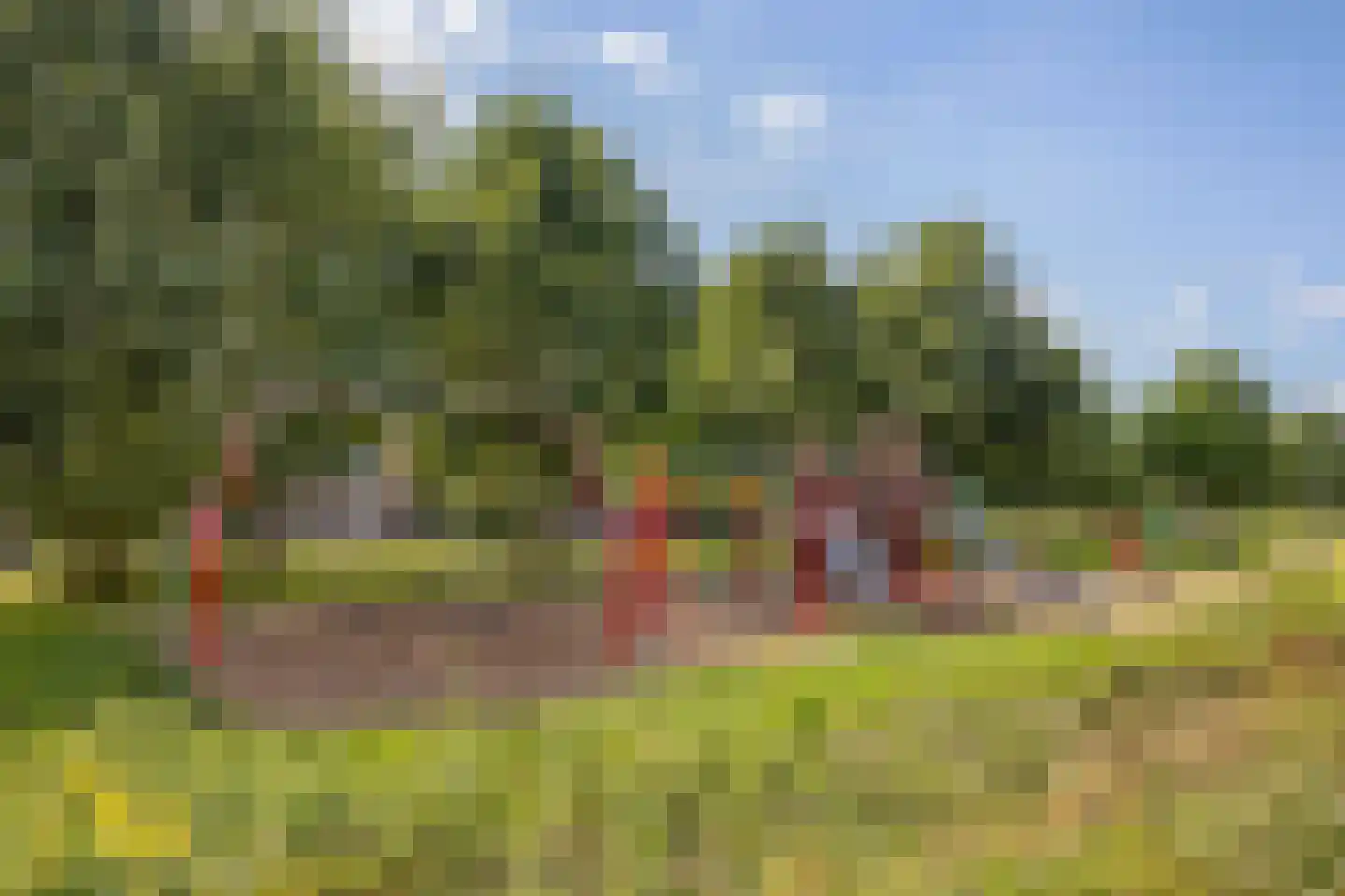 Polluxstraat 250 Arnhem thumbnail 41