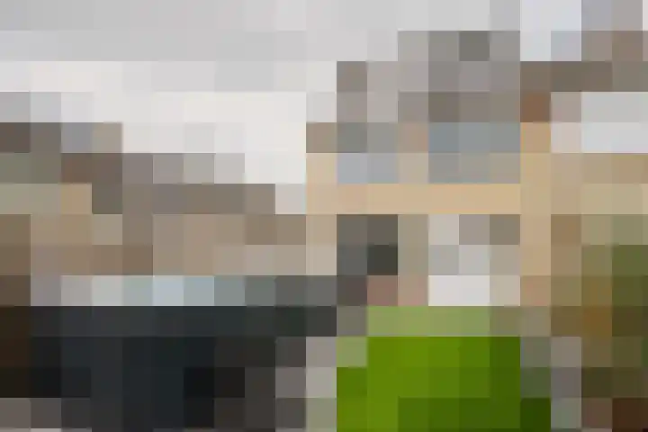 Polluxstraat 29 Spijkenisse thumbnail 18