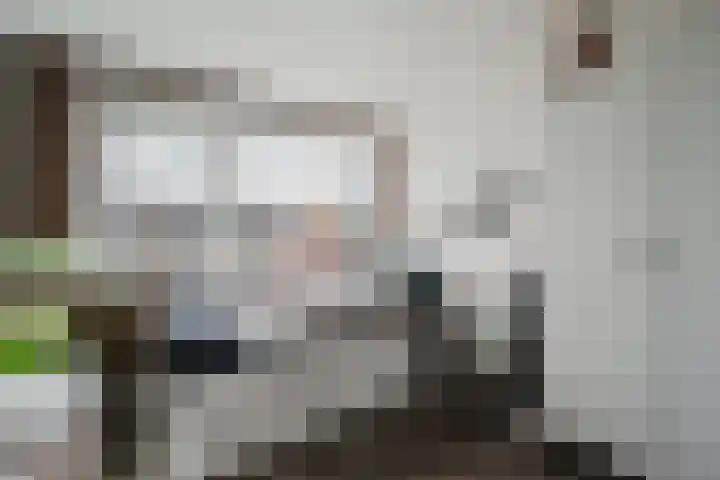 Polluxstraat 29 Spijkenisse thumbnail 20
