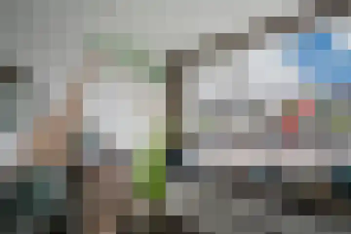 Polluxstraat 29 Spijkenisse thumbnail 21