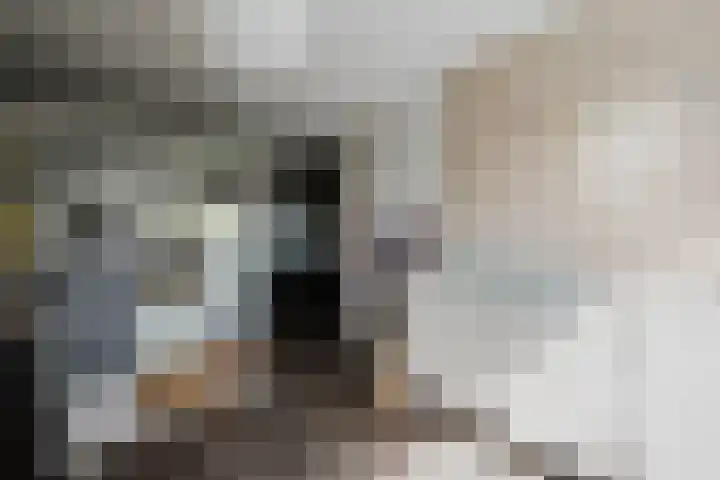 Polluxstraat 29 Spijkenisse thumbnail 24