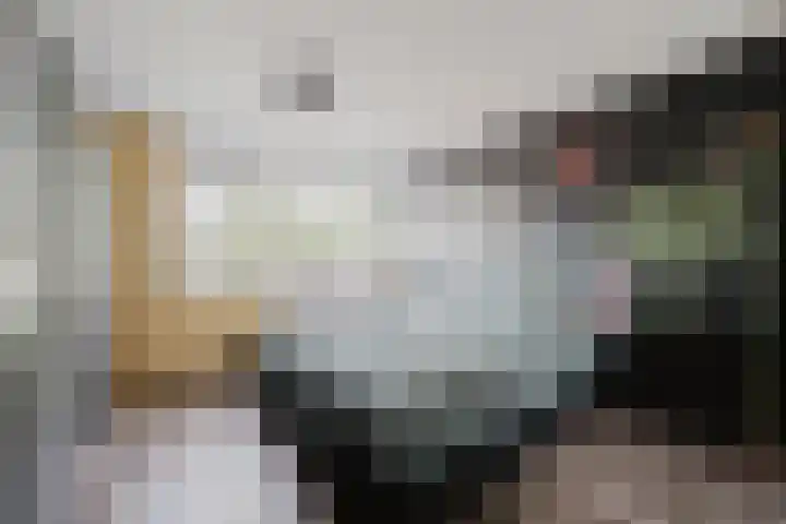 Polluxstraat 29 Spijkenisse thumbnail 25