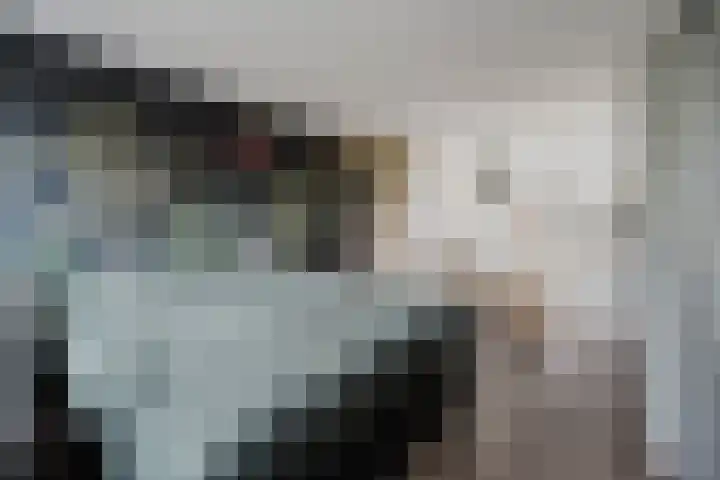 Polluxstraat 29 Spijkenisse thumbnail 26