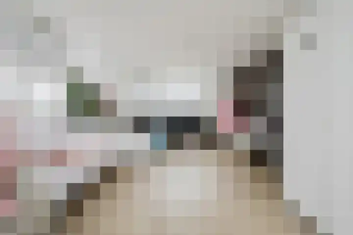 Polluxstraat 29 Spijkenisse thumbnail 29
