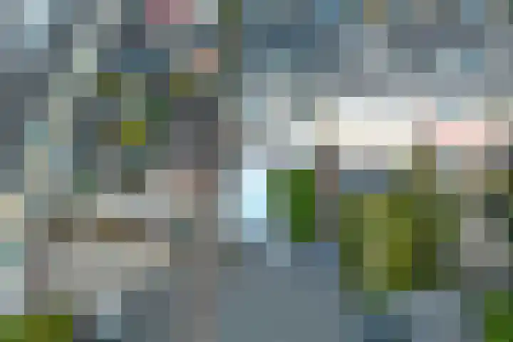 Polluxstraat 29 Spijkenisse thumbnail 7