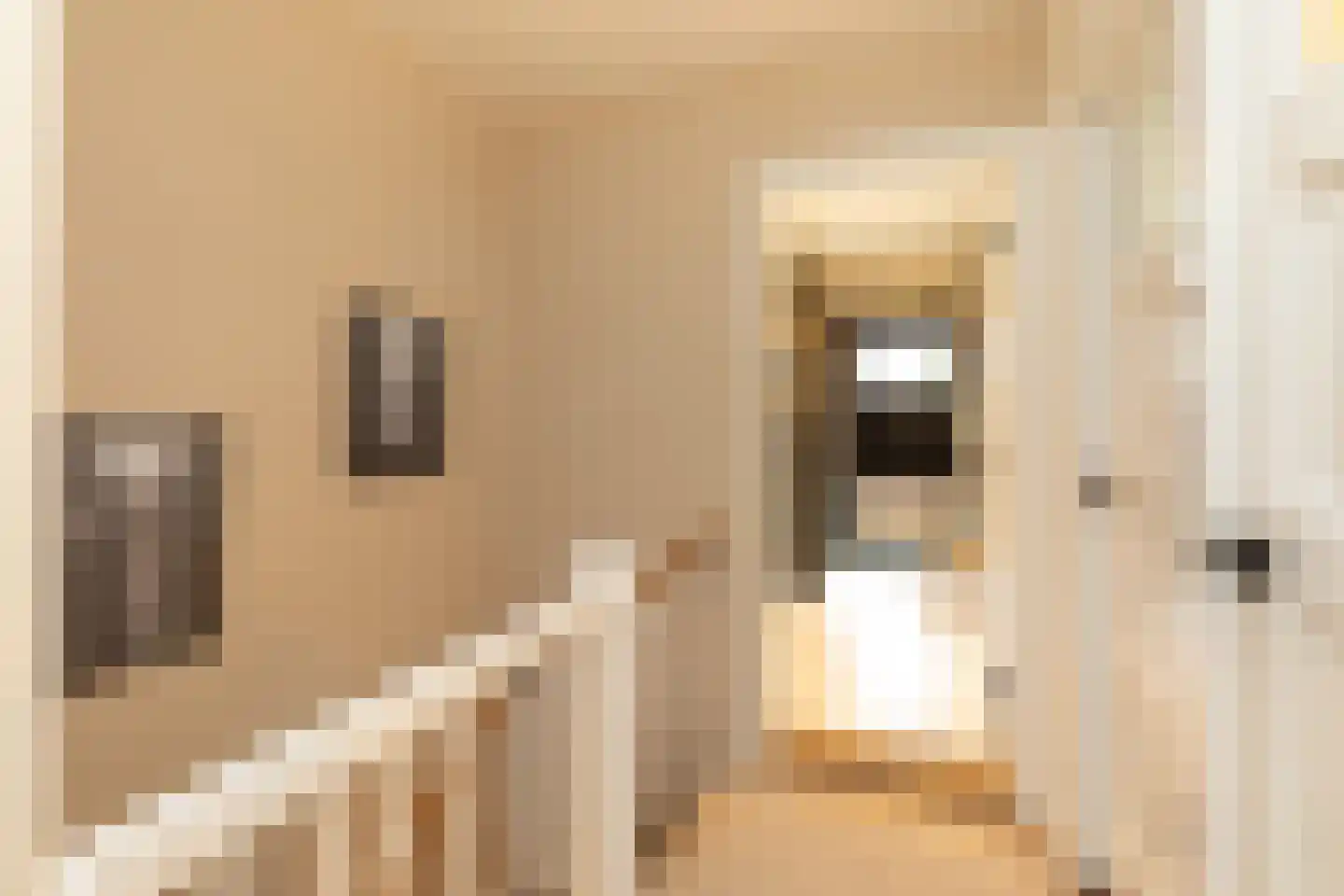 Polluxstraat 30 Hilversum thumbnail 11