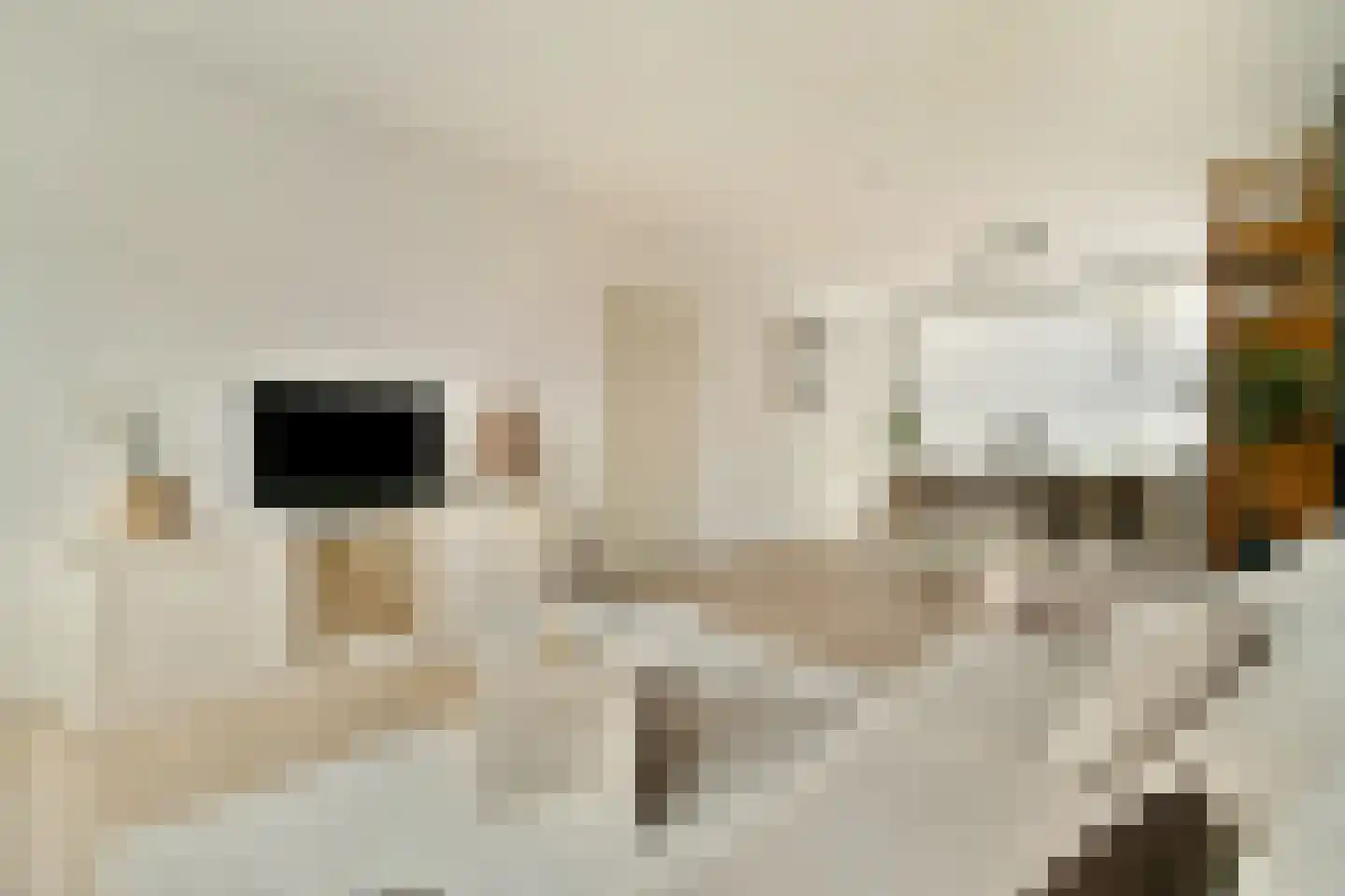 Polluxstraat 32 Spijkenisse thumbnail 10