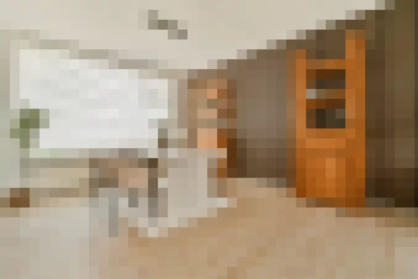 Polluxstraat 32 Spijkenisse thumbnail 11