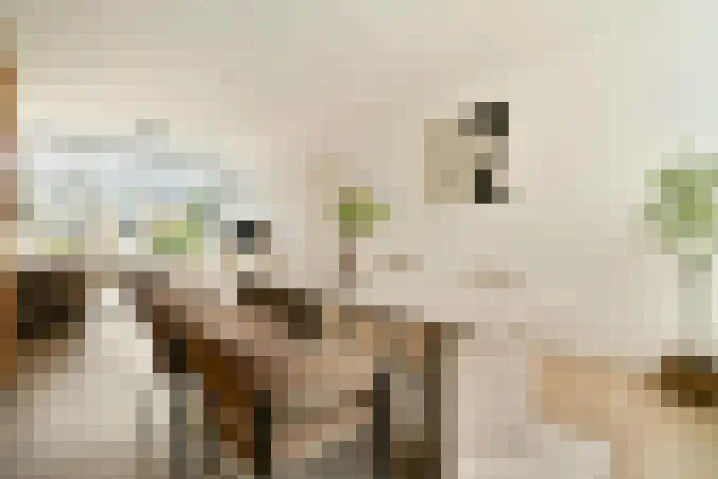 Polluxstraat 32 Spijkenisse thumbnail 12