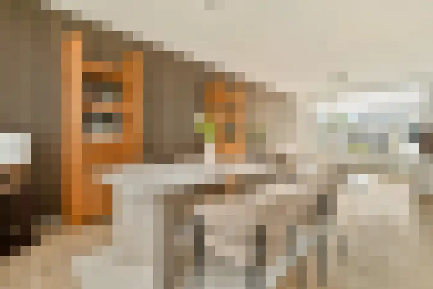 Polluxstraat 32 Spijkenisse thumbnail 13