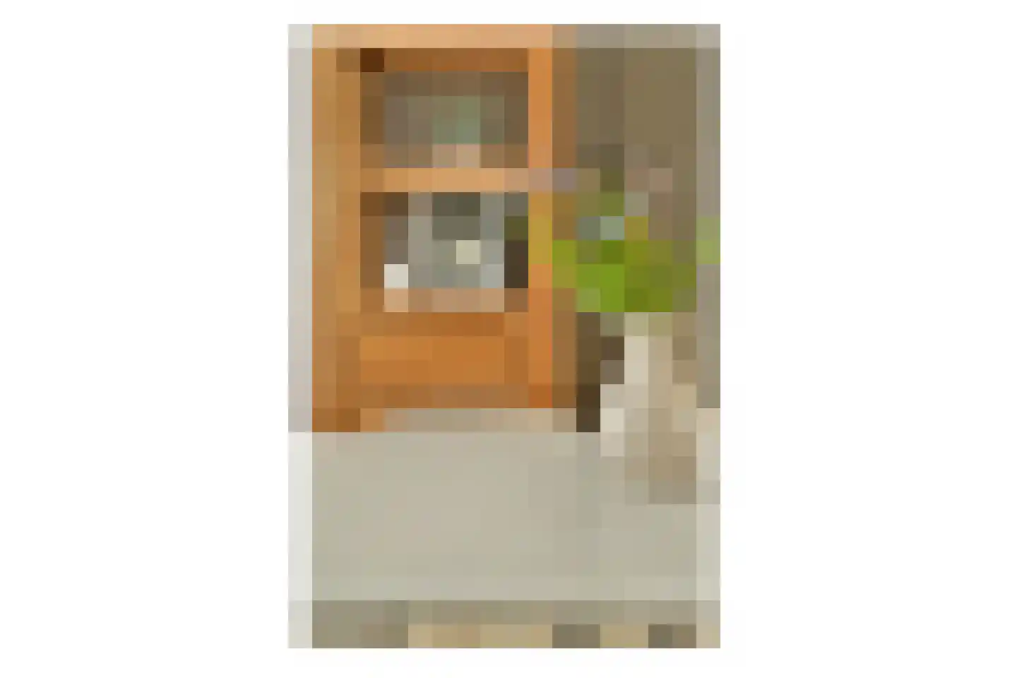 Polluxstraat 32 Spijkenisse thumbnail 14
