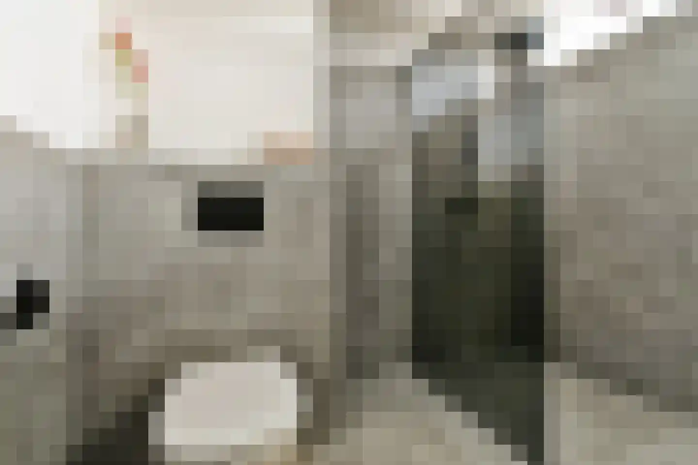 Polluxstraat 32 Spijkenisse thumbnail 20