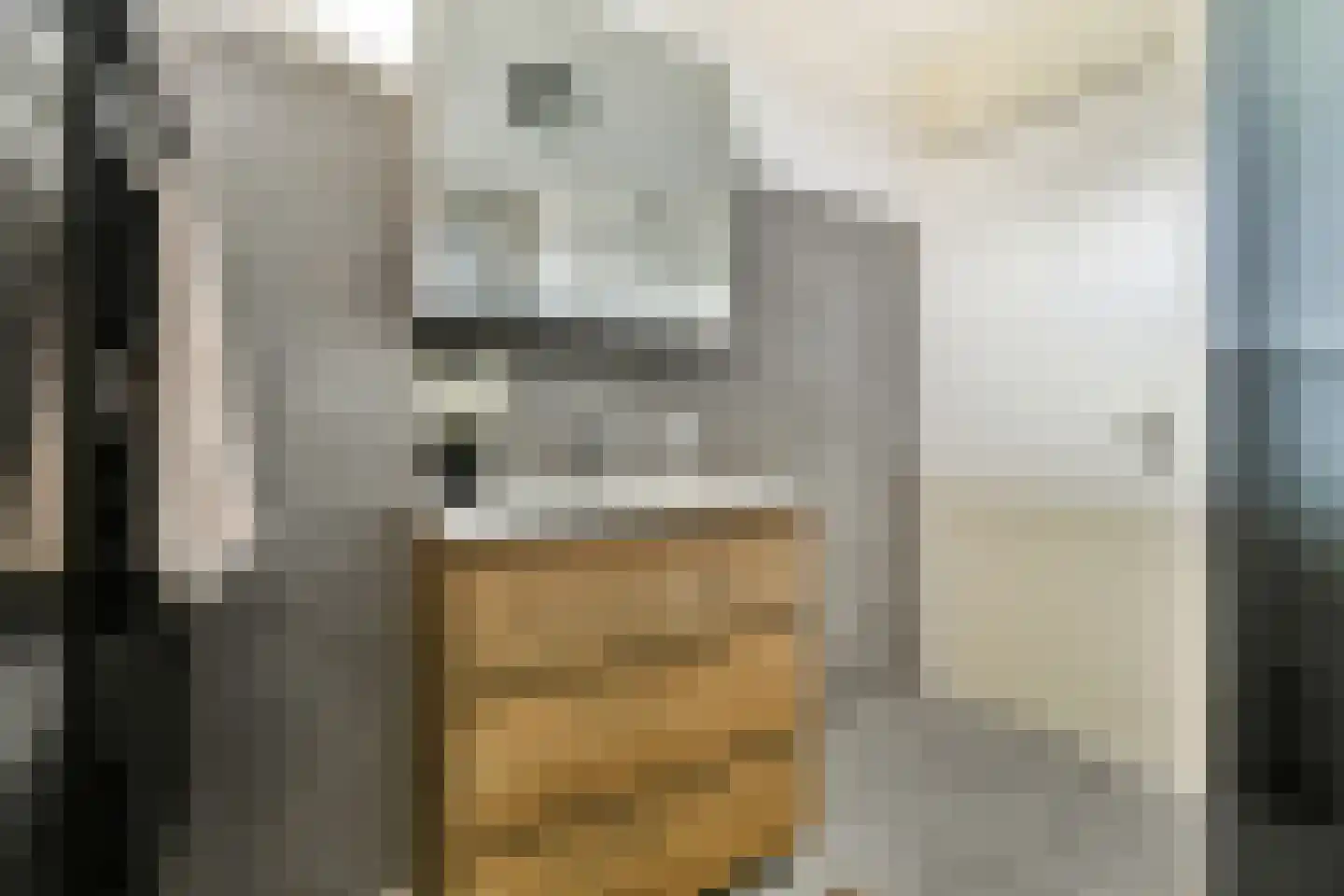 Polluxstraat 32 Spijkenisse thumbnail 21