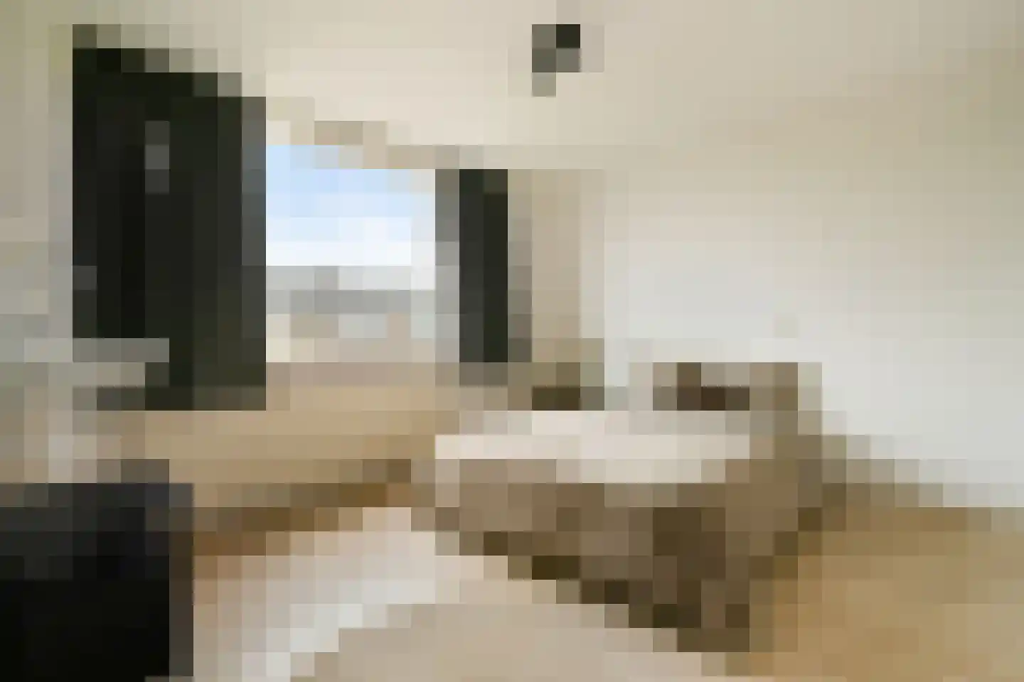 Polluxstraat 32 Spijkenisse thumbnail 22