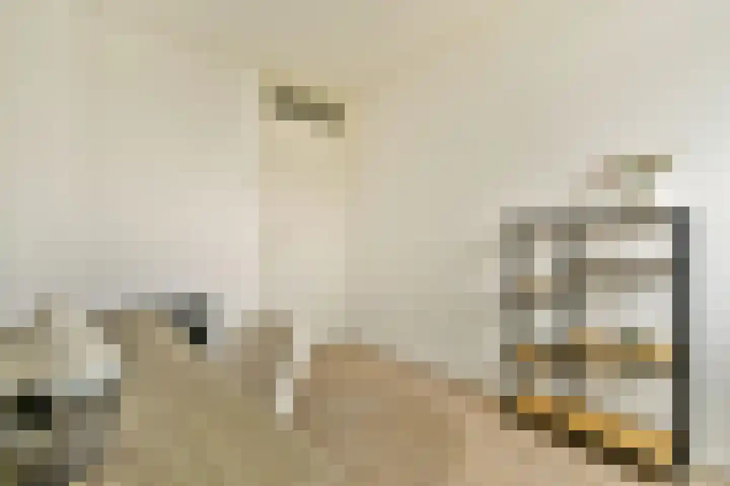 Polluxstraat 32 Spijkenisse thumbnail 25