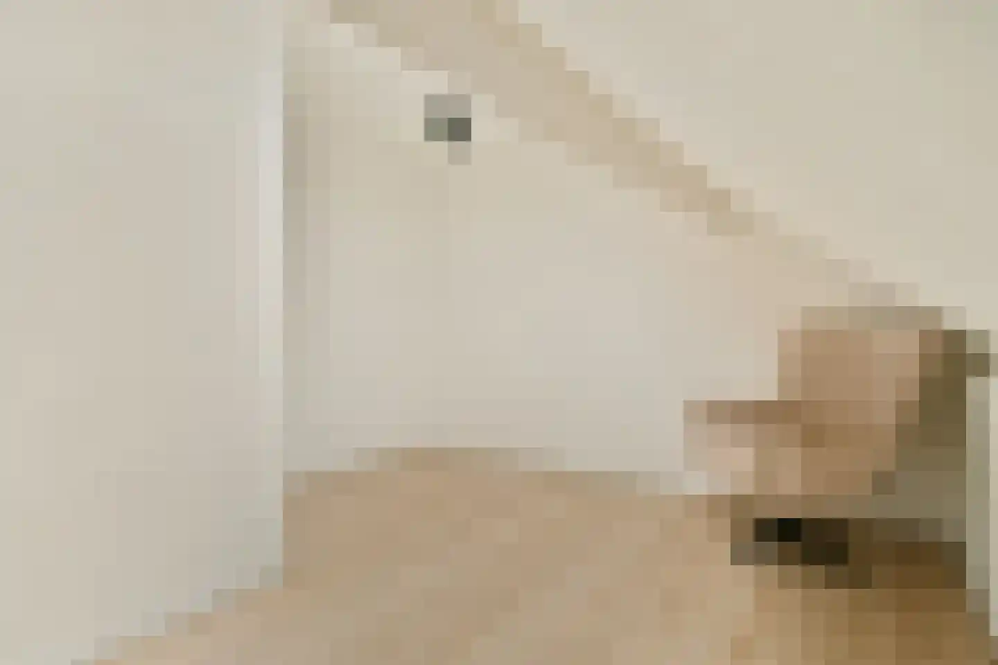 Polluxstraat 32 Spijkenisse thumbnail 32