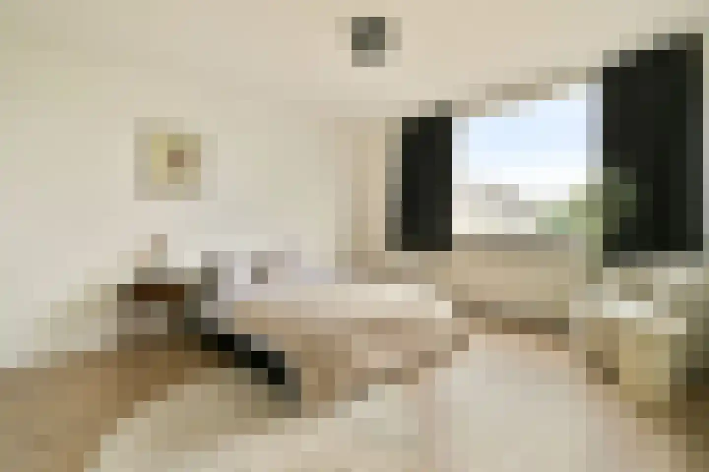Polluxstraat 32 Spijkenisse thumbnail 4