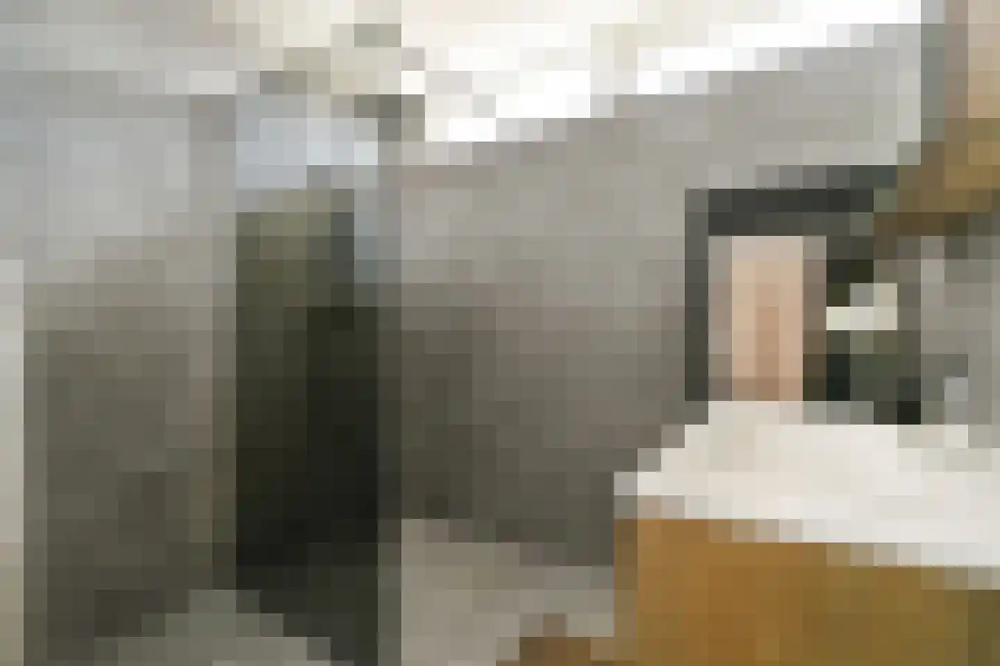 Polluxstraat 32 Spijkenisse thumbnail 5