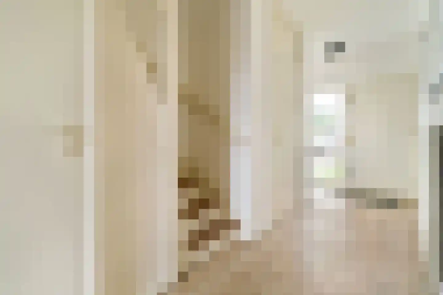Polluxstraat 32 Spijkenisse thumbnail 8
