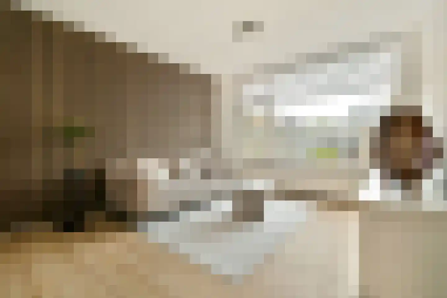 Polluxstraat 32 Spijkenisse thumbnail 9