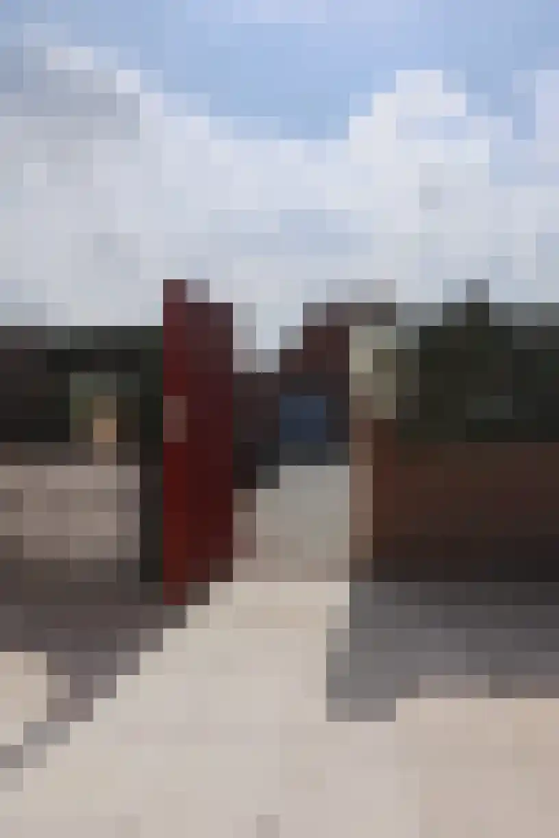 Polluxstraat 4 Bergen op Zoom thumbnail 25