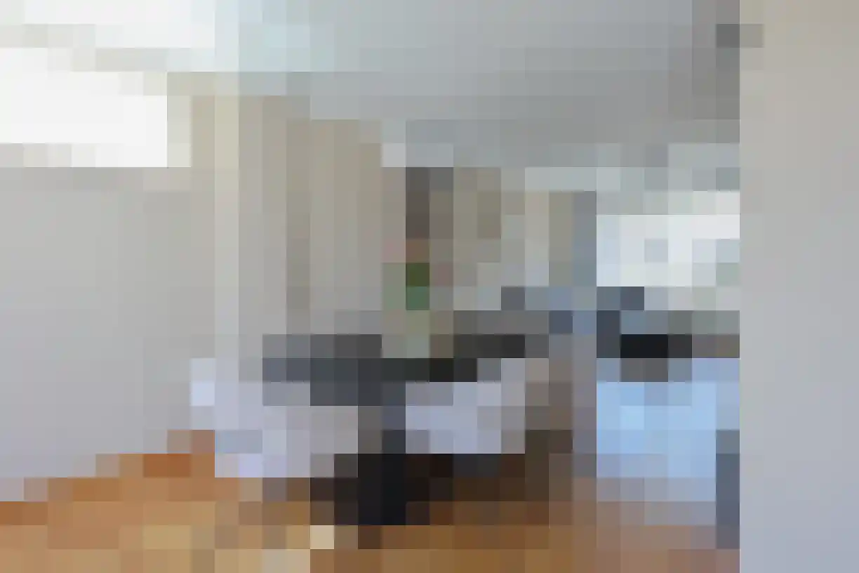 Polluxstraat 4 Bergen op Zoom thumbnail 7