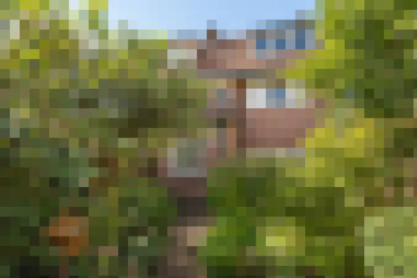 Polluxstraat 40 Hilversum thumbnail 27