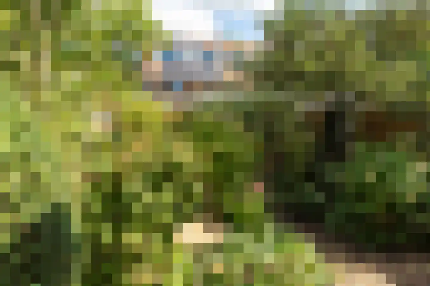 Polluxstraat 40 Hilversum thumbnail 28