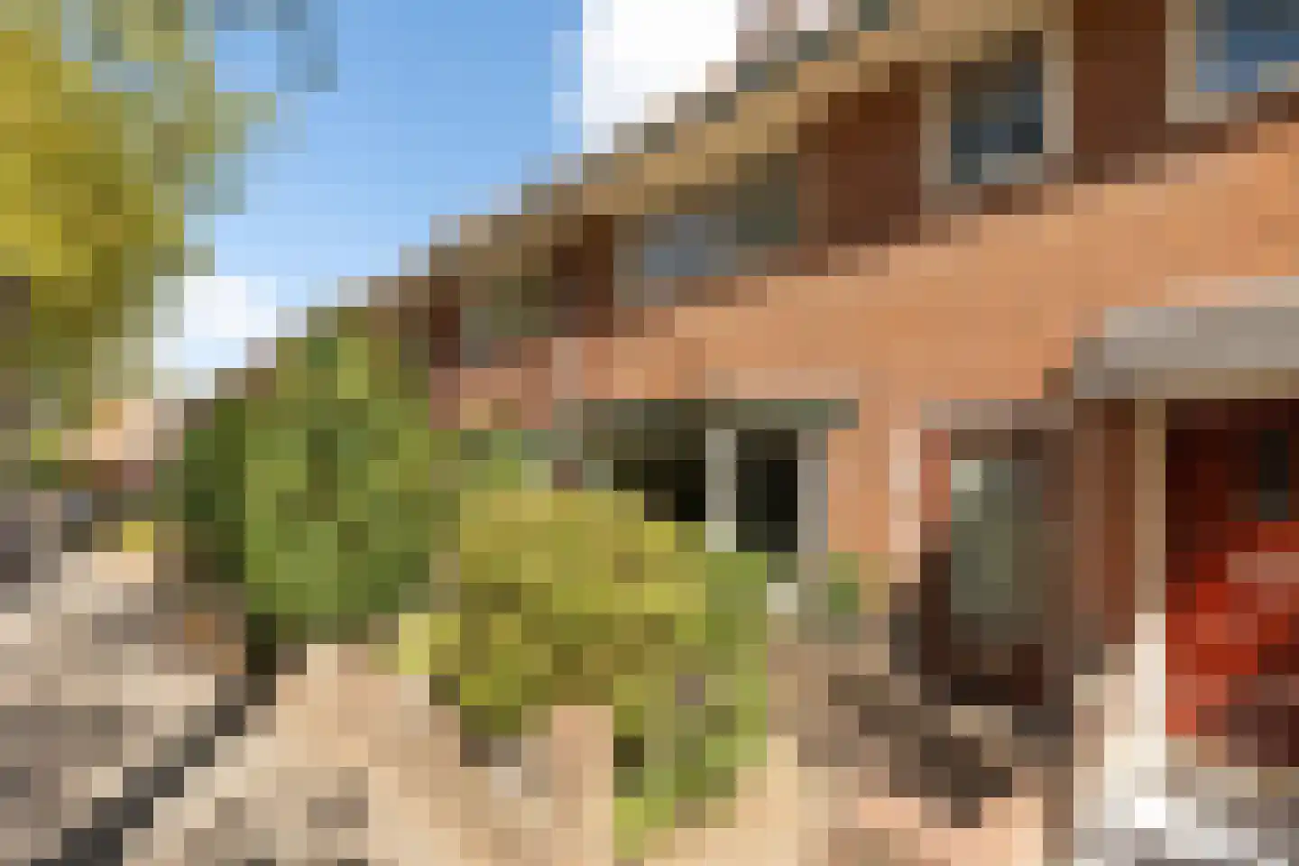 Polluxstraat 40 Hilversum thumbnail 5
