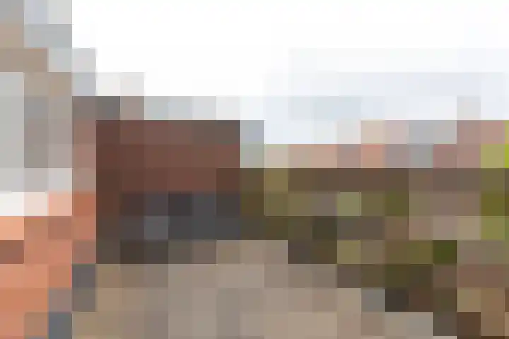 Polluxstraat 43 Hilversum thumbnail 17