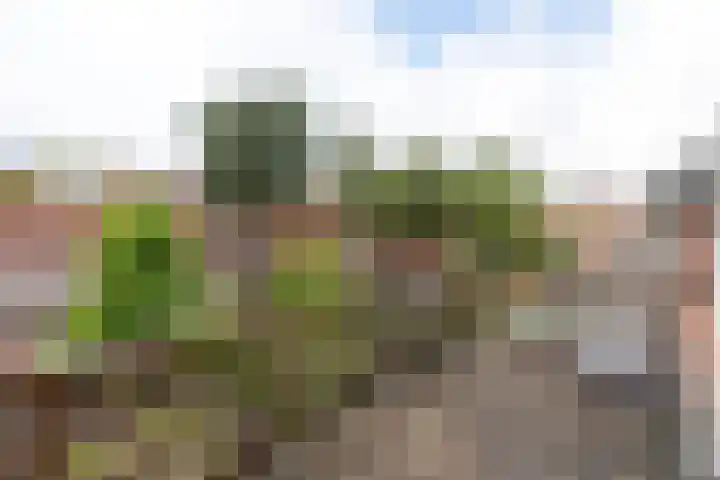 Polluxstraat 43 Hilversum thumbnail 18