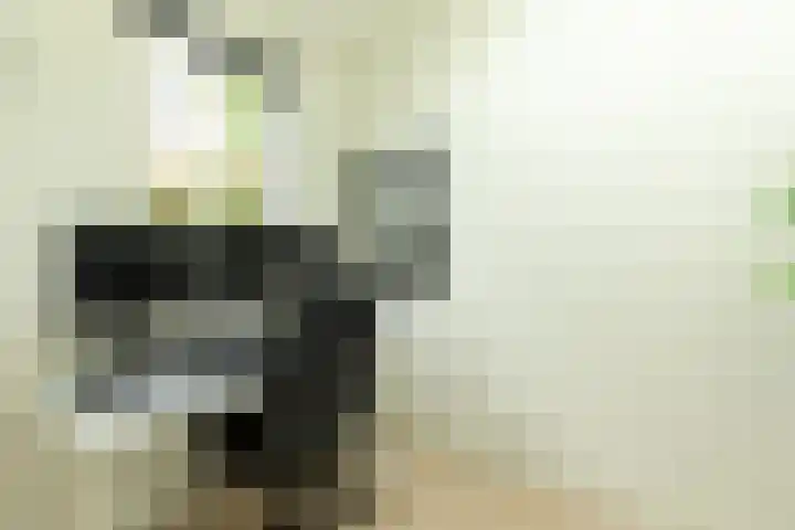 Polluxstraat 43 Hilversum thumbnail 27