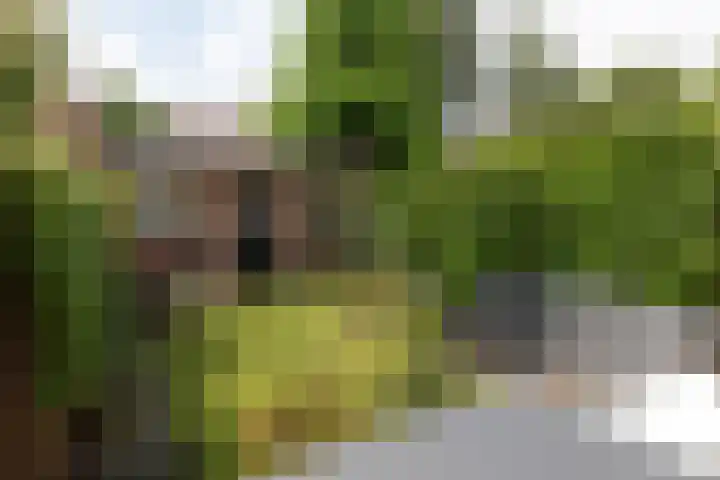 Polluxstraat 43 Hilversum thumbnail 29
