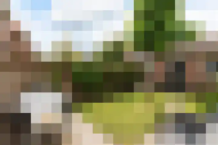 Polluxstraat 43 Hilversum thumbnail 30