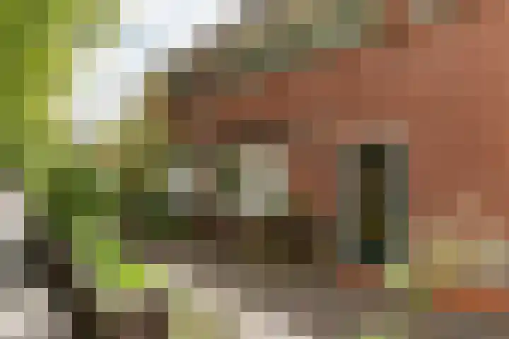 Polluxstraat 43 Hilversum thumbnail 32