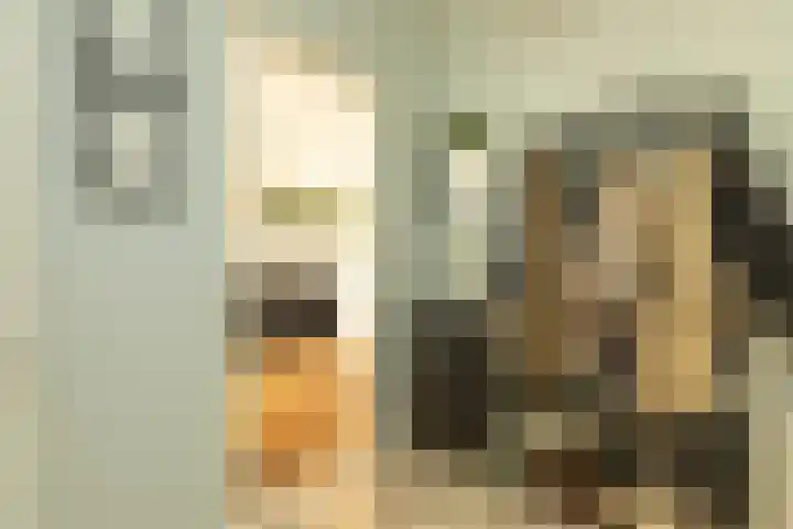 Polluxstraat 43 Hilversum thumbnail 6