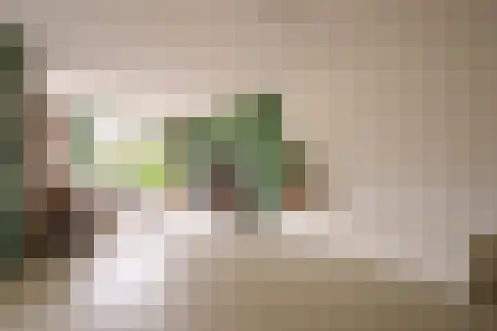 Polluxstraat 52 Almere thumbnail 14
