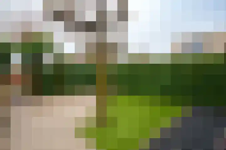 Polluxstraat 52 Almere thumbnail 47