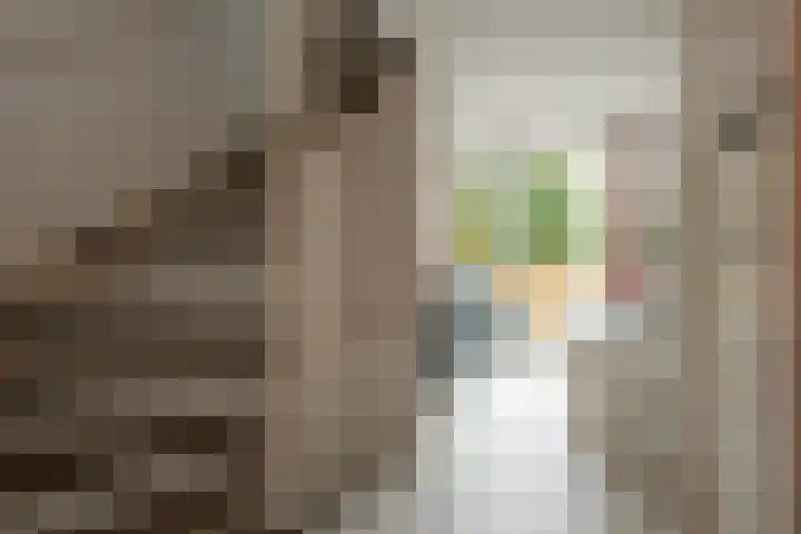 Polonaisestraat 4 Almere thumbnail 11