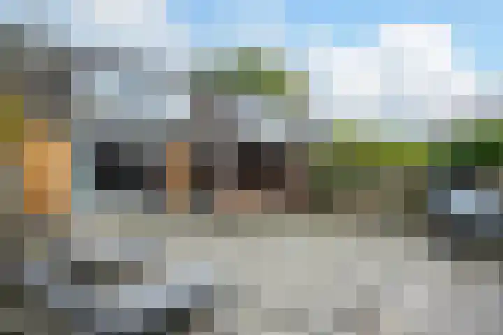 Polonaisestraat 4 Almere thumbnail 24