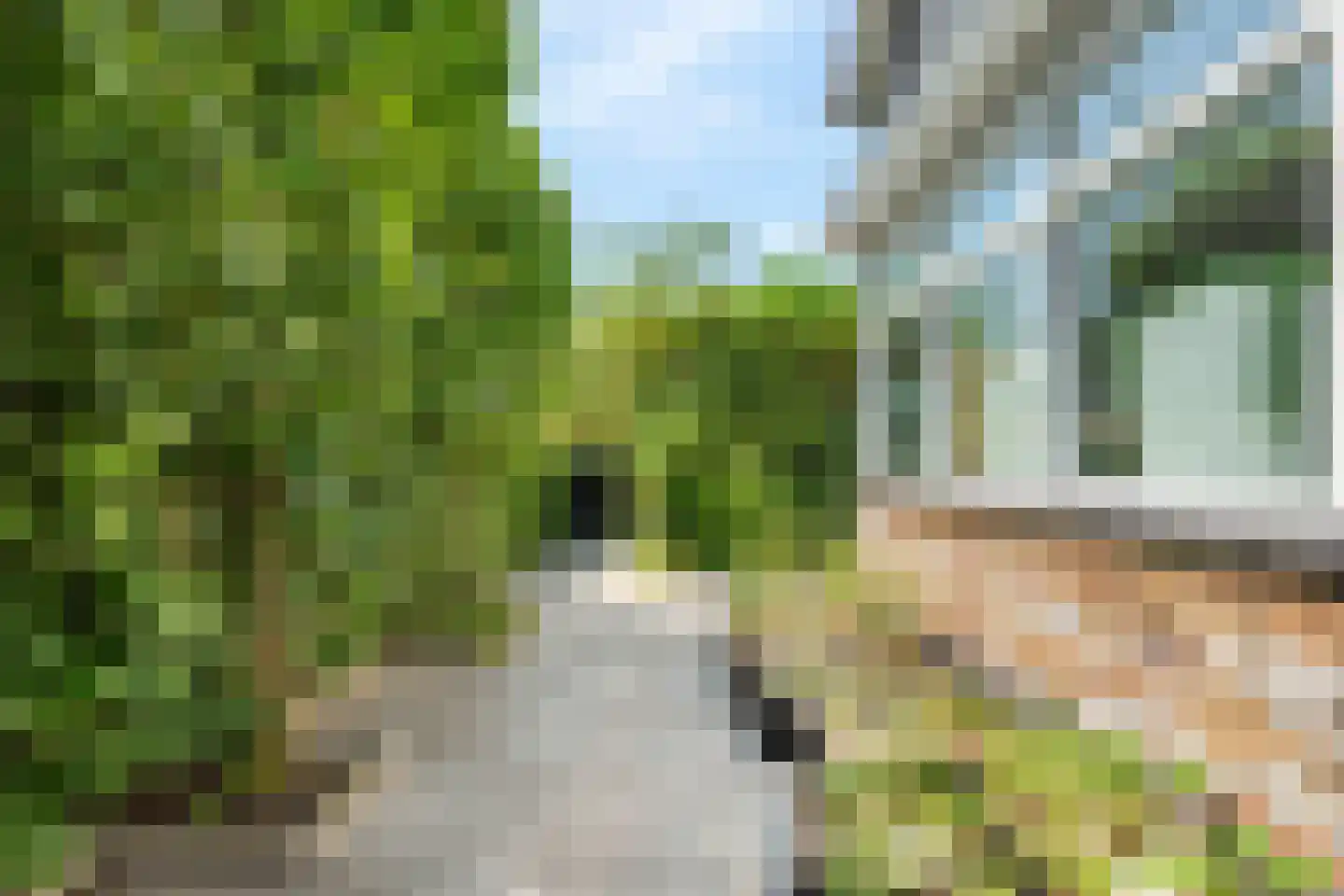 Pols-akker 20 Barendrecht thumbnail 47