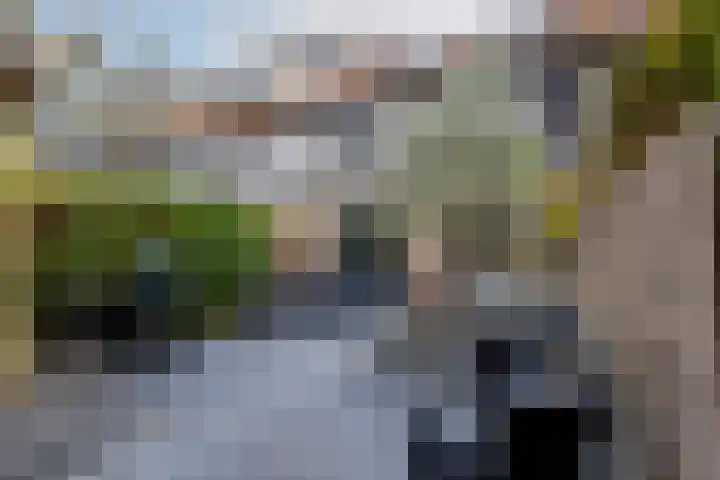 Pols-akker 4 Barendrecht thumbnail 40