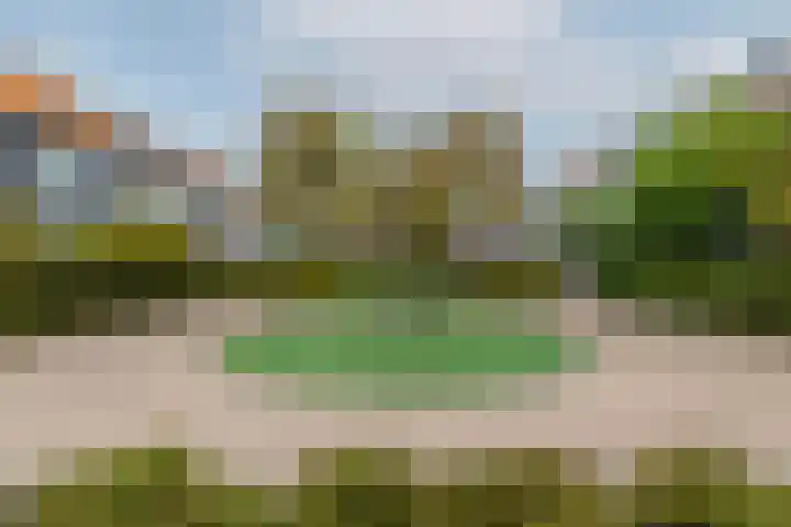 Pols-akker 4 Barendrecht thumbnail 6