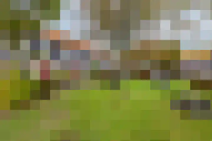 Pols-akker 4 Barendrecht thumbnail 7